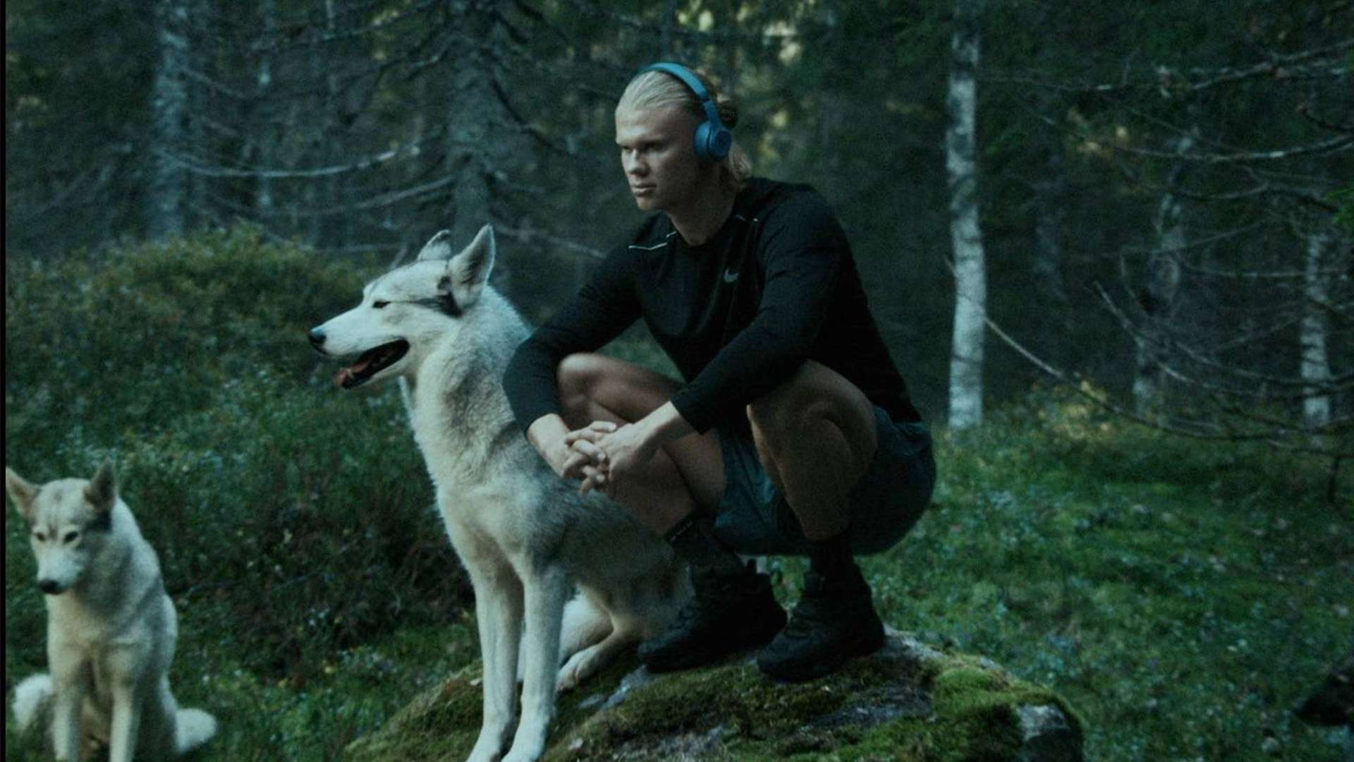 技术与心态 技术与心态